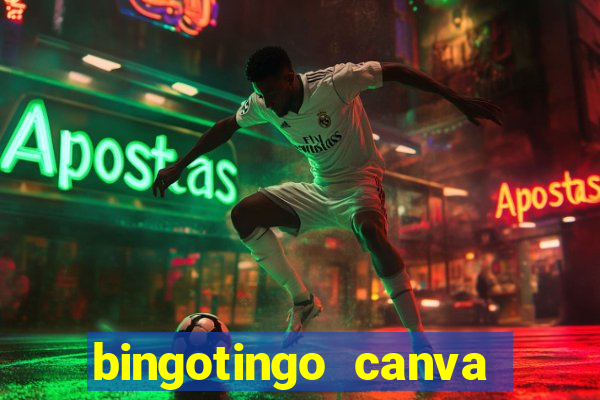 bingotingo canva pro gratis